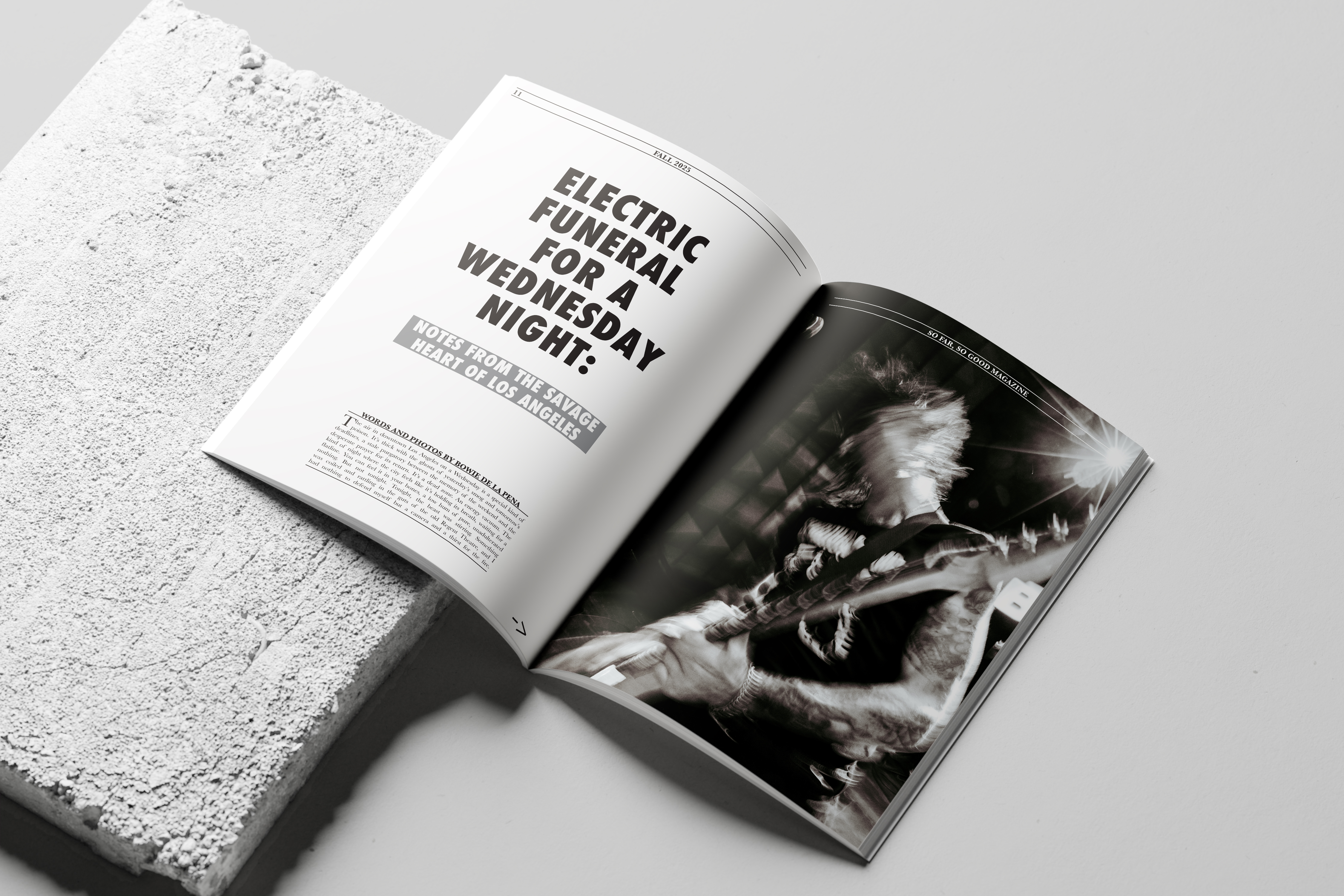 SFSG Magazine — spread mockup